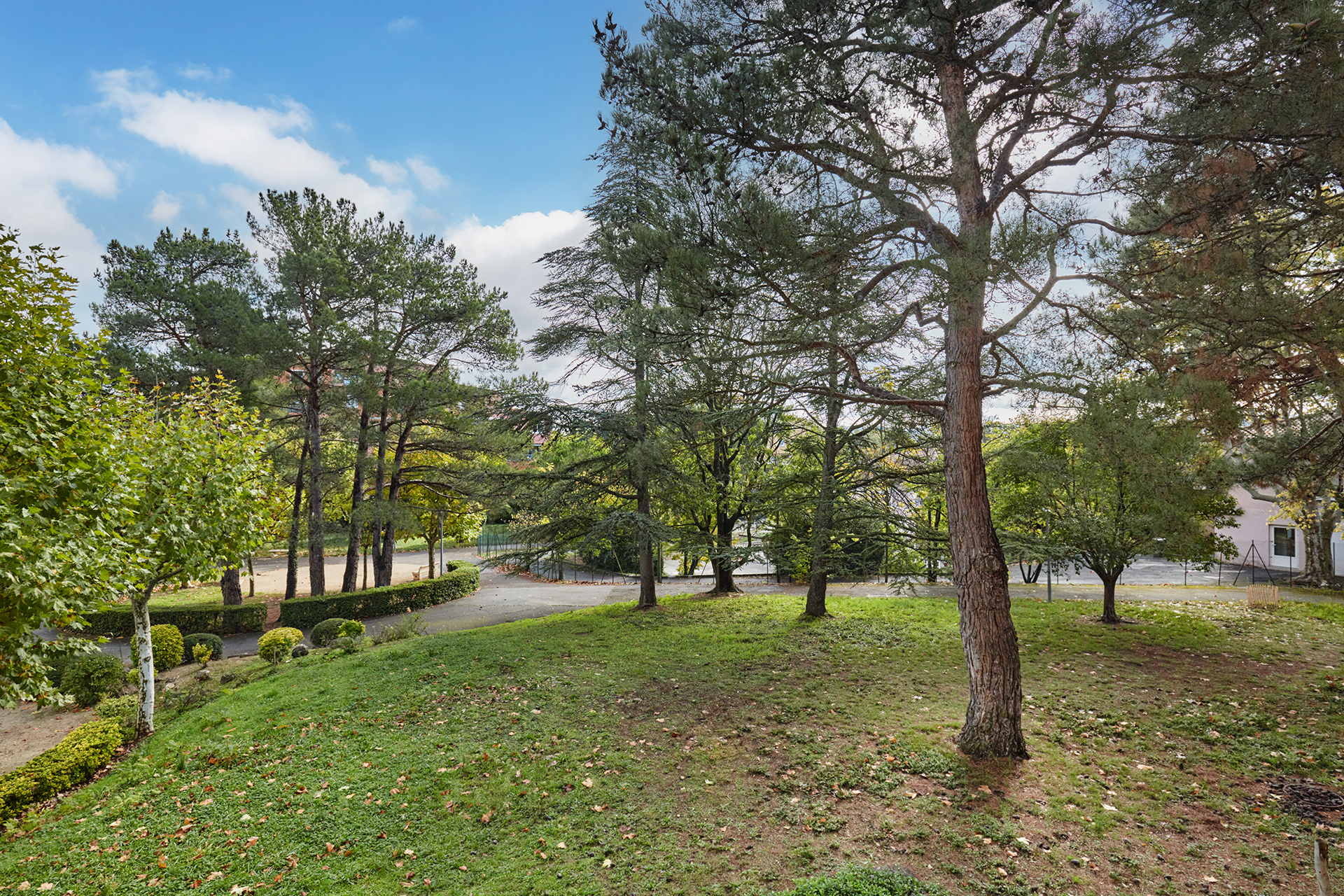 photo_7c7e9af69898134b51772ed51bc1dcee