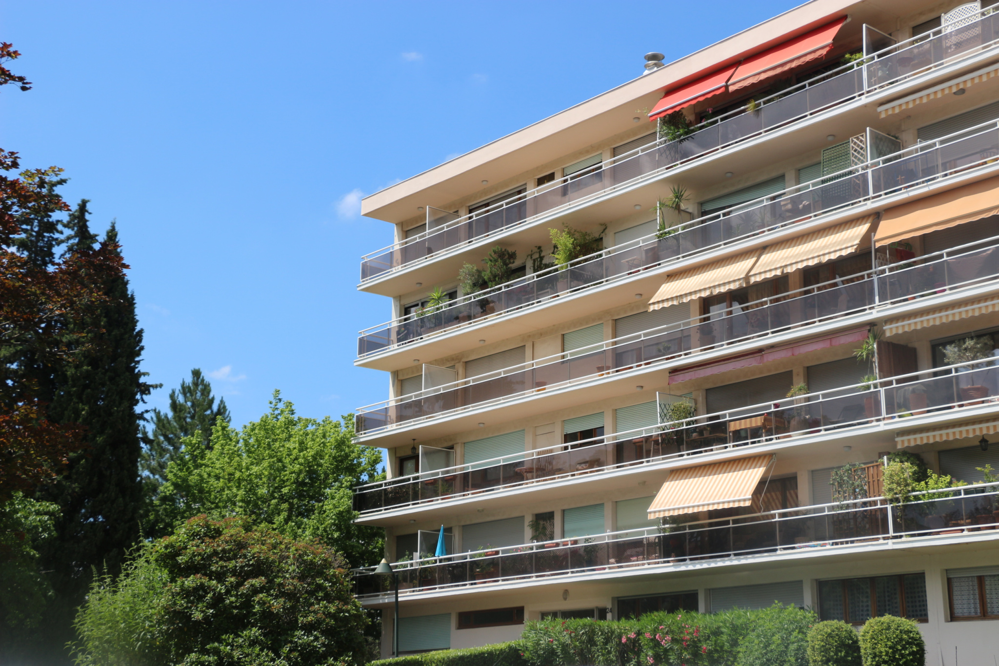 photo_05d934028c860afc5a08fc6107f095a5