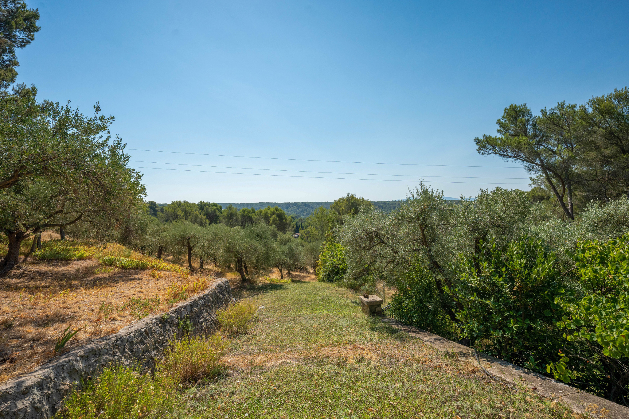 photo_0b3222aa1212132925499555c3188d12