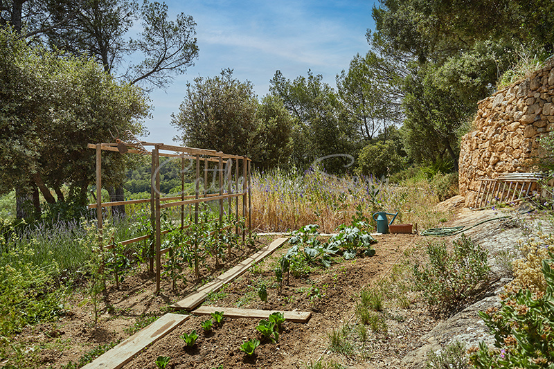 photo_15b6358099805f7790bf4604acbaaf4e