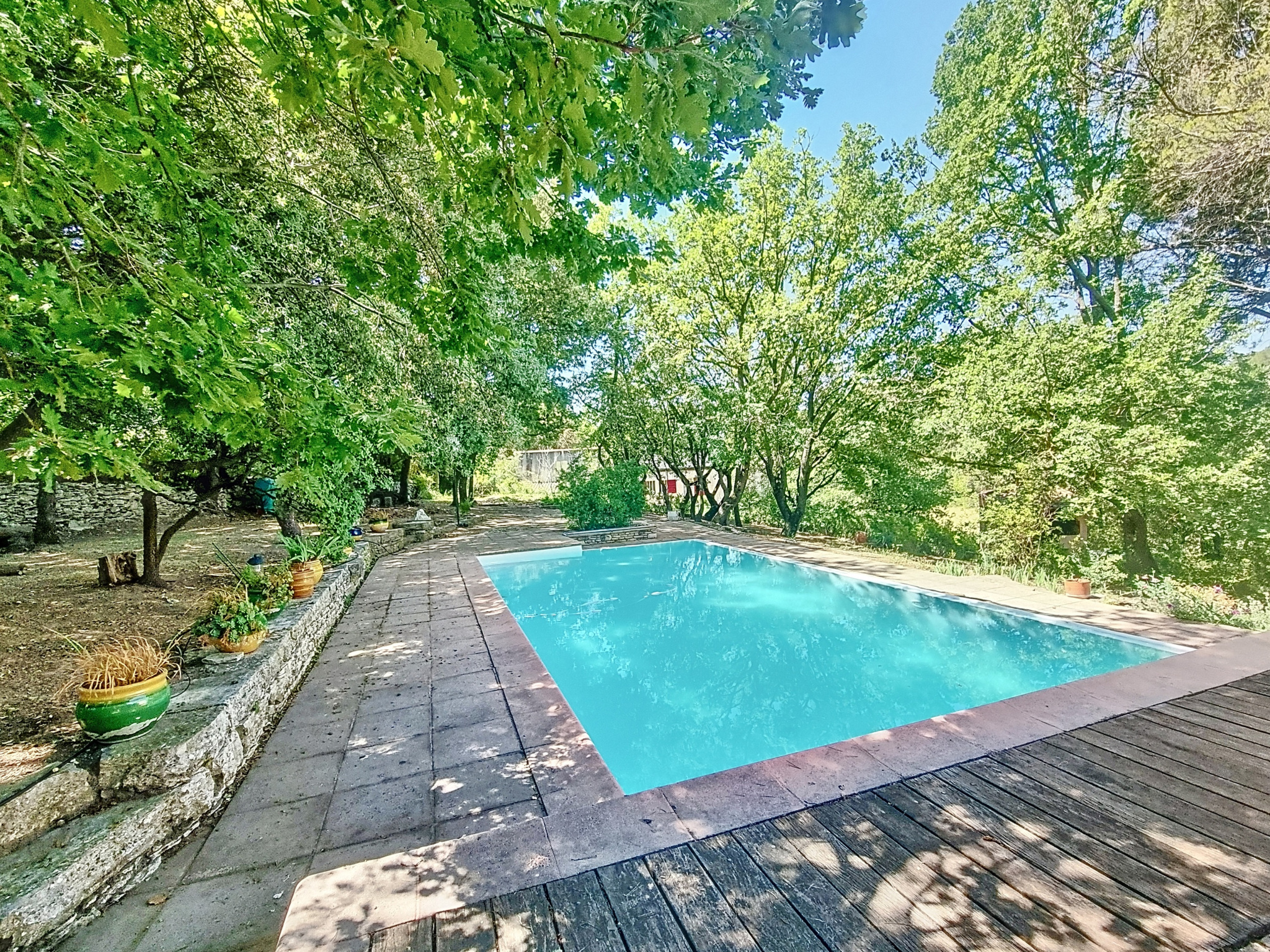 photo_2021e79177c1979e09139cf1d276406c