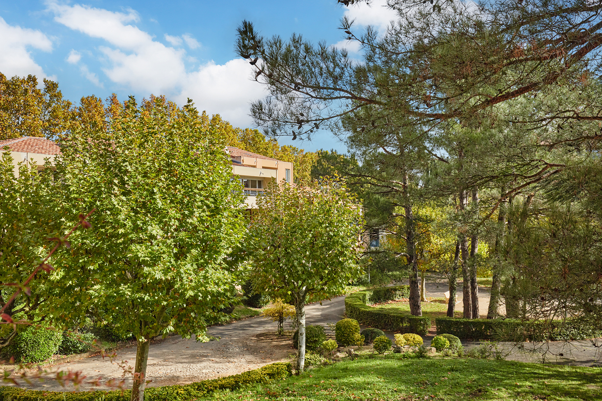 photo_387fa1fd11f5b6205544e75095d75913