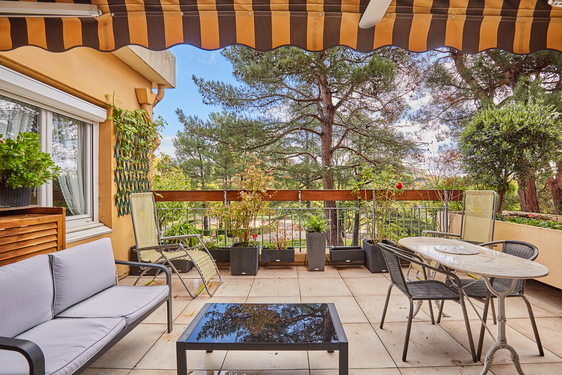 photo_50ef26b376e2016326050ac05f07479e