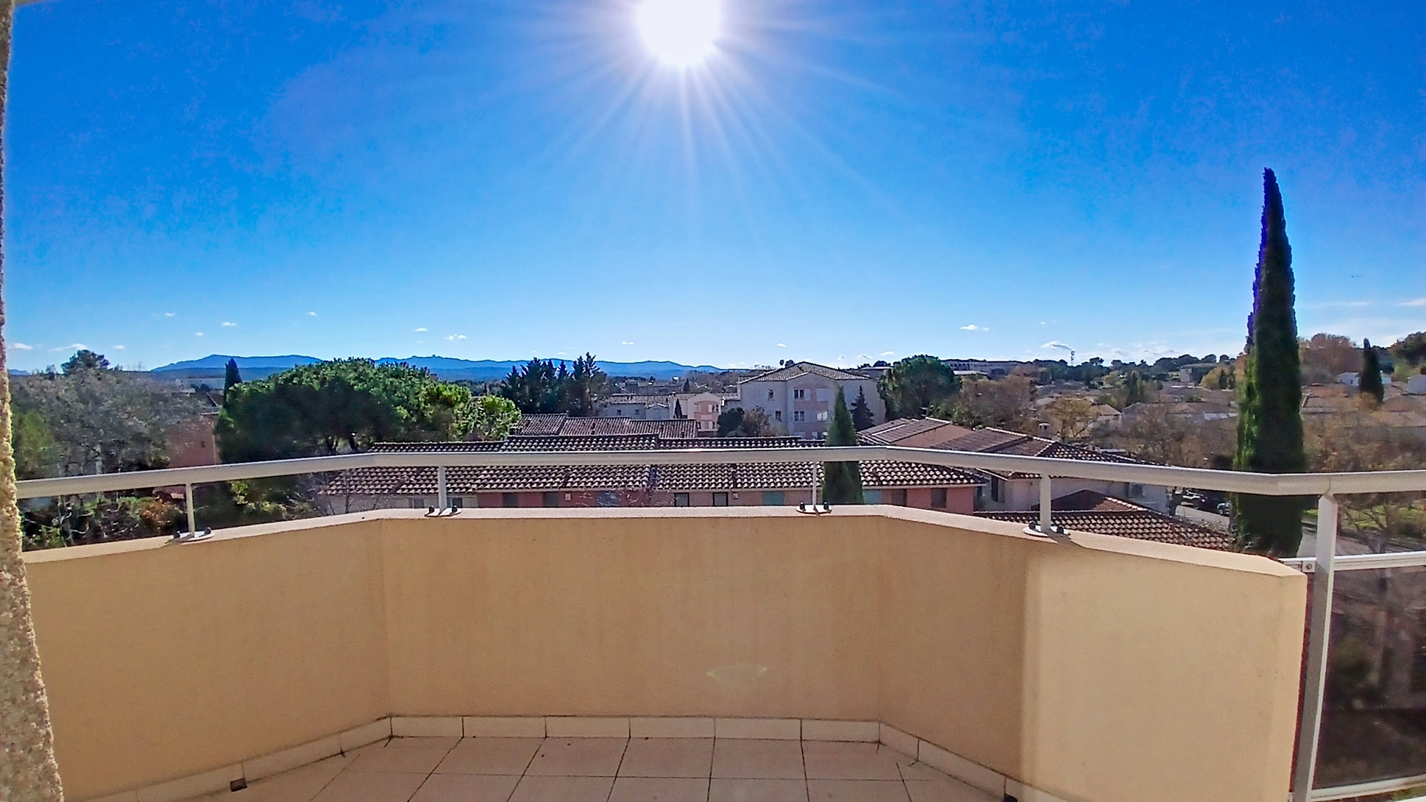 photo_5fac7f13fc3df8326b9733cb8bc28b67