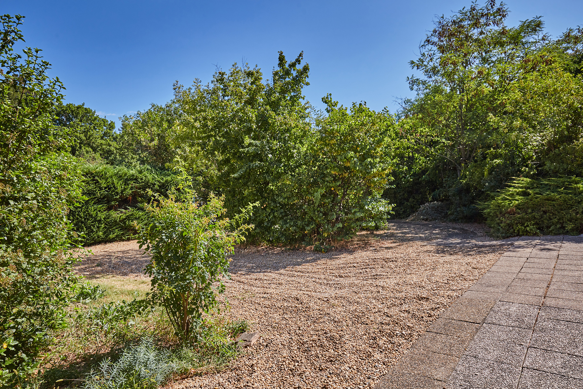 photo_72c0ccc7e824af3053eee97997b2de14