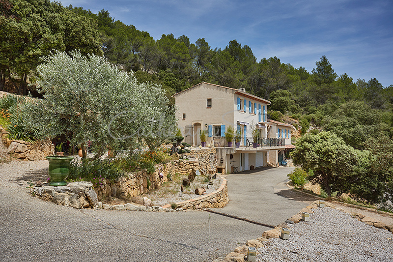 photo_a8be7214d2a196971a924a031c844999