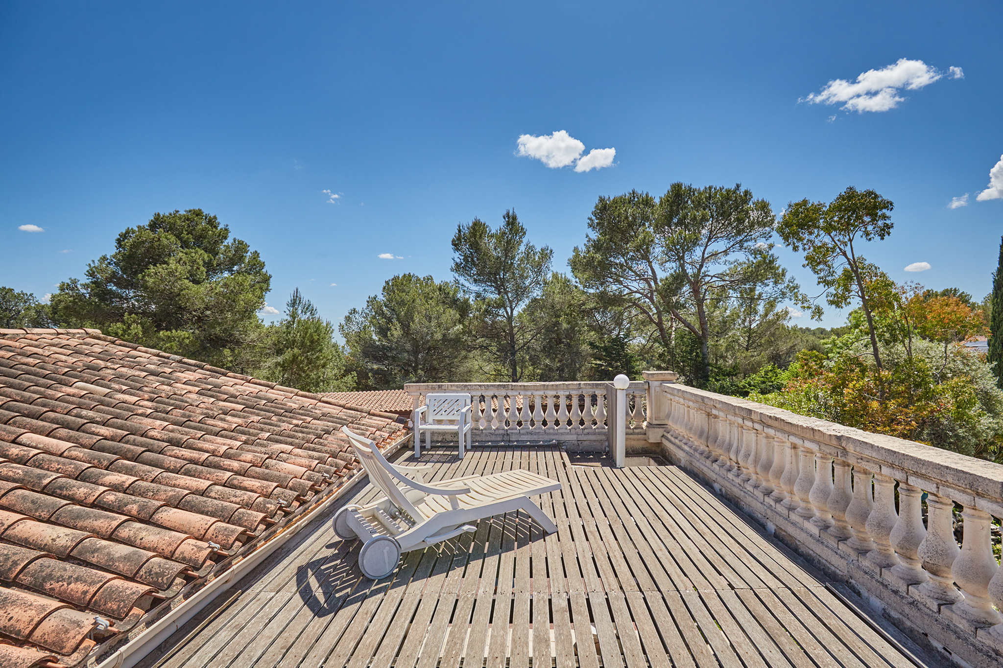 photo_b17b6e5151080b8841976f43981b0189