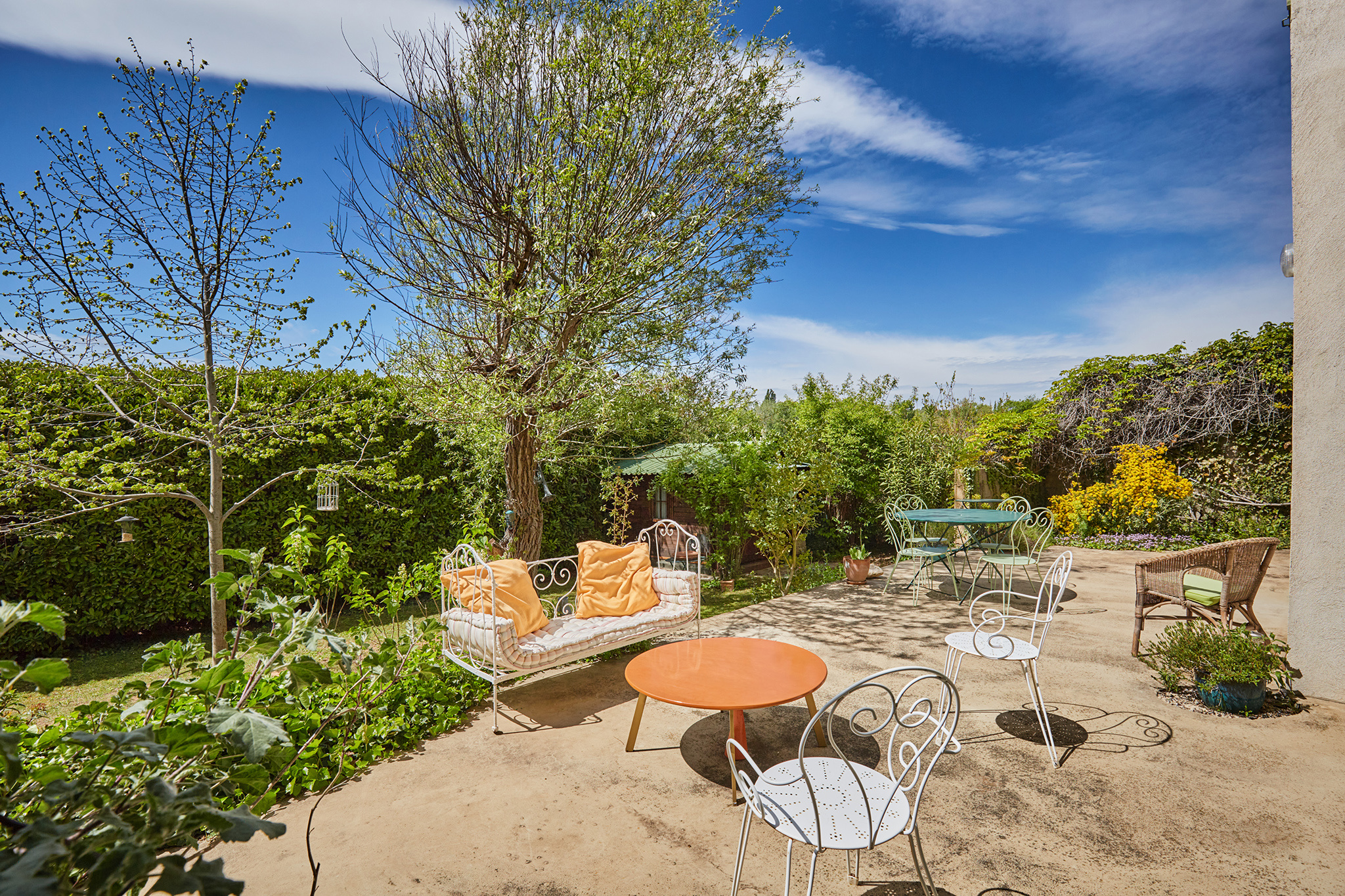 photo_c697ae818d52161dfb481f3a28ea1791