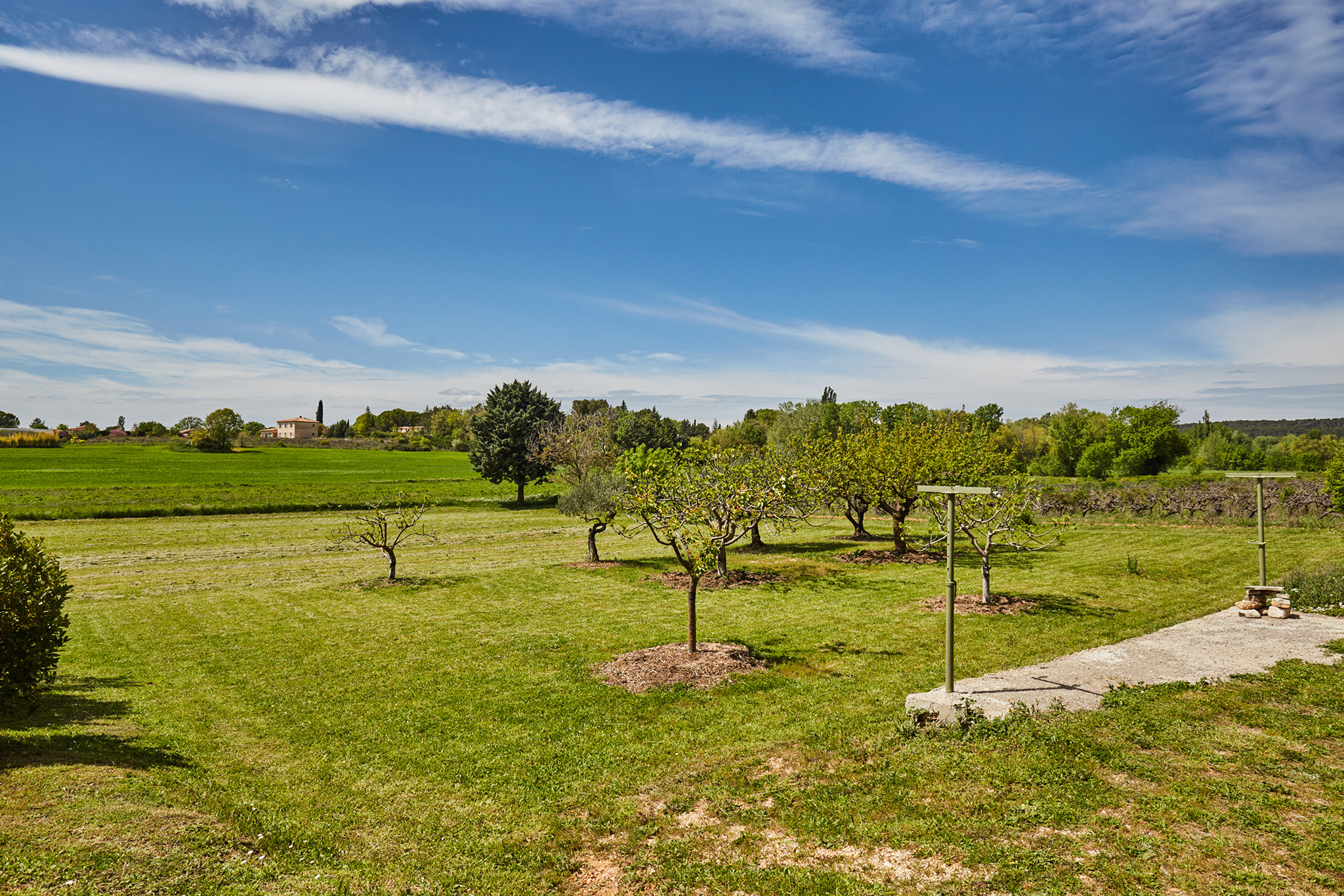 photo_ed80f5d466664ee81e31bc1383bc7db3