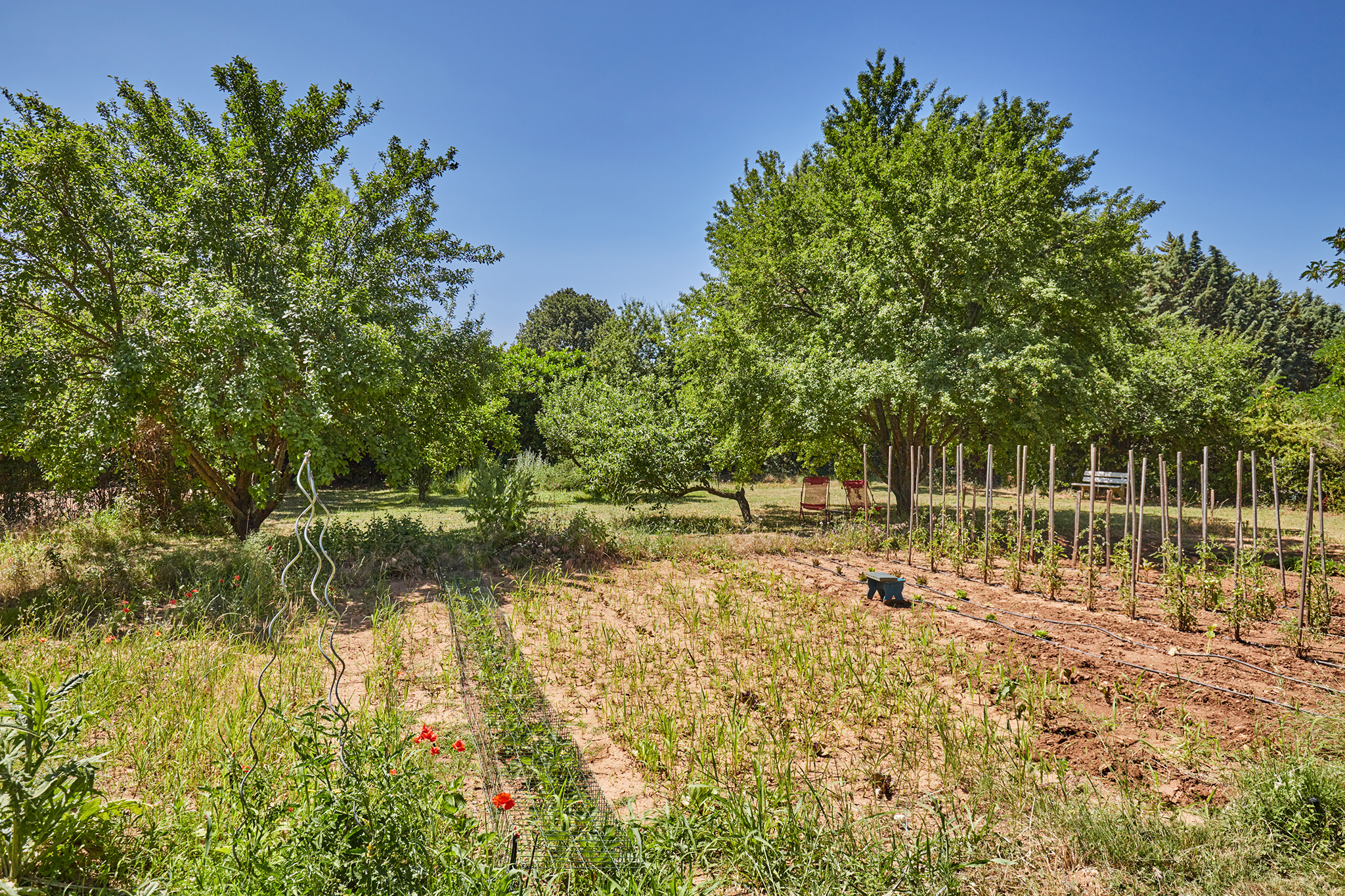 photo_efead02e2550326dd52e750a6fb9fd37