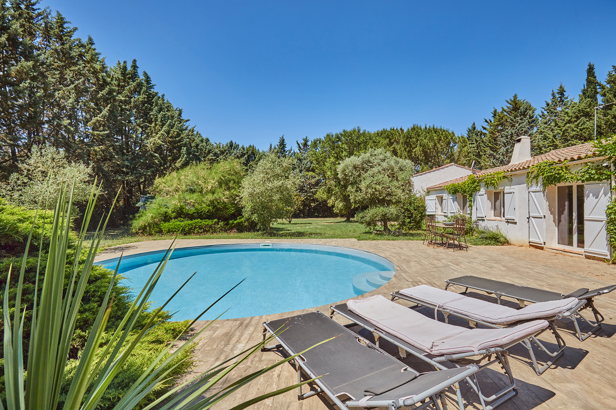 photo_1e55741506563633148d0d8f4c24c644