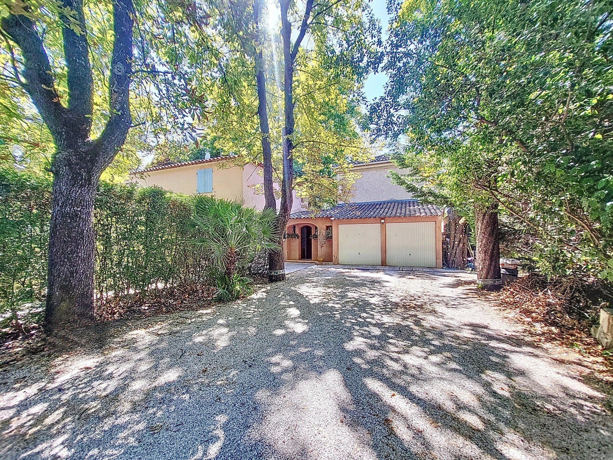 photo_7ed844822cf51360fc644ea318d243b4