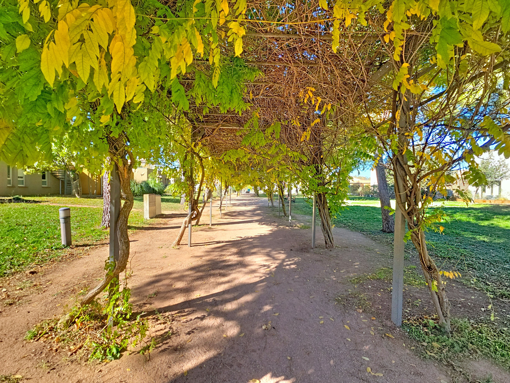 photo_fbf5c7e1172c1dfc56c8aa759d9f65fa