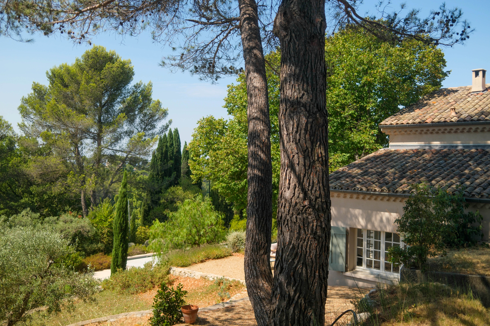 photo_21a271dfd03dbc9b826018b92007e540