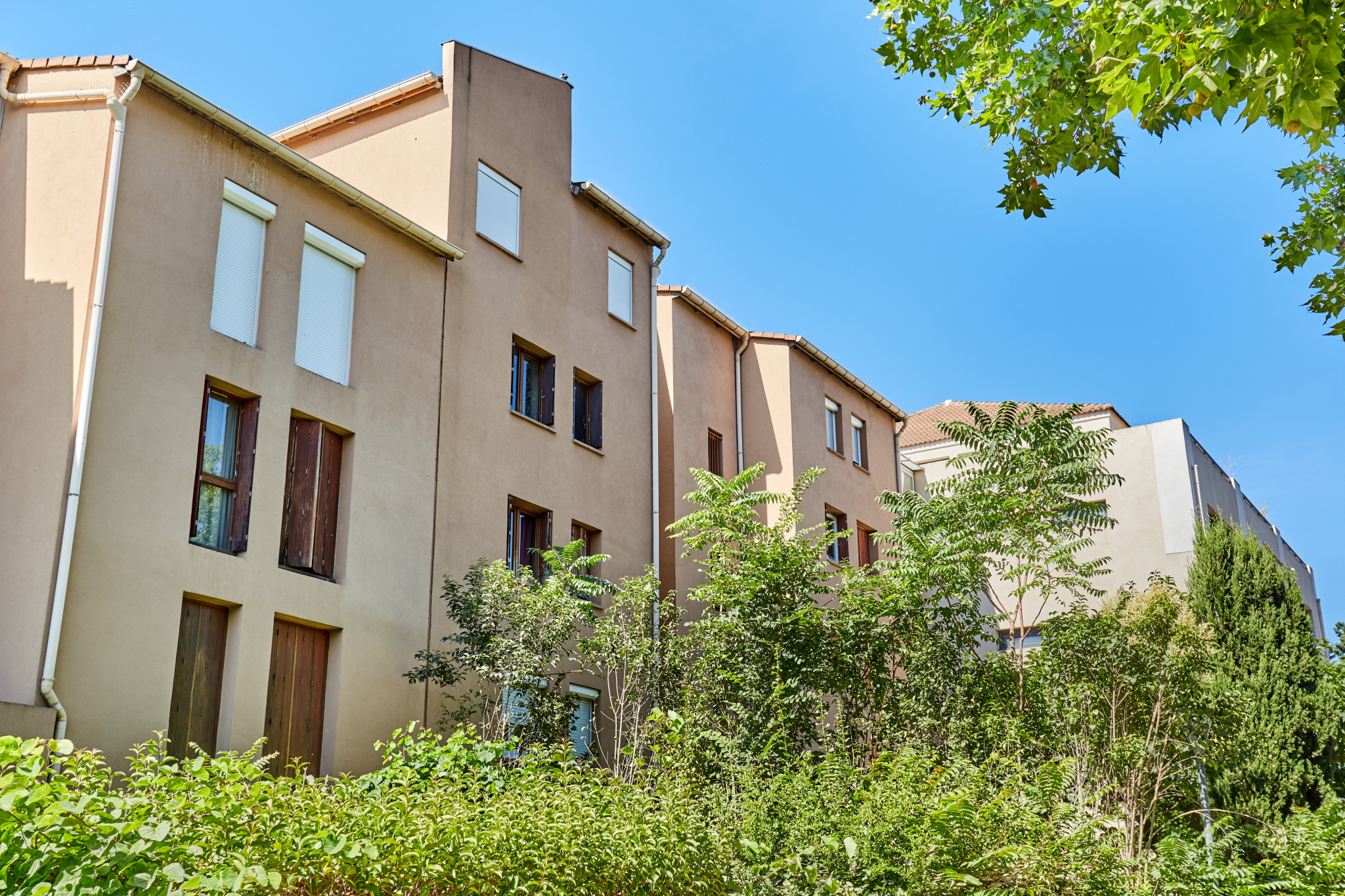 photo_42b2f021b5a1d3780770902185c74d2b