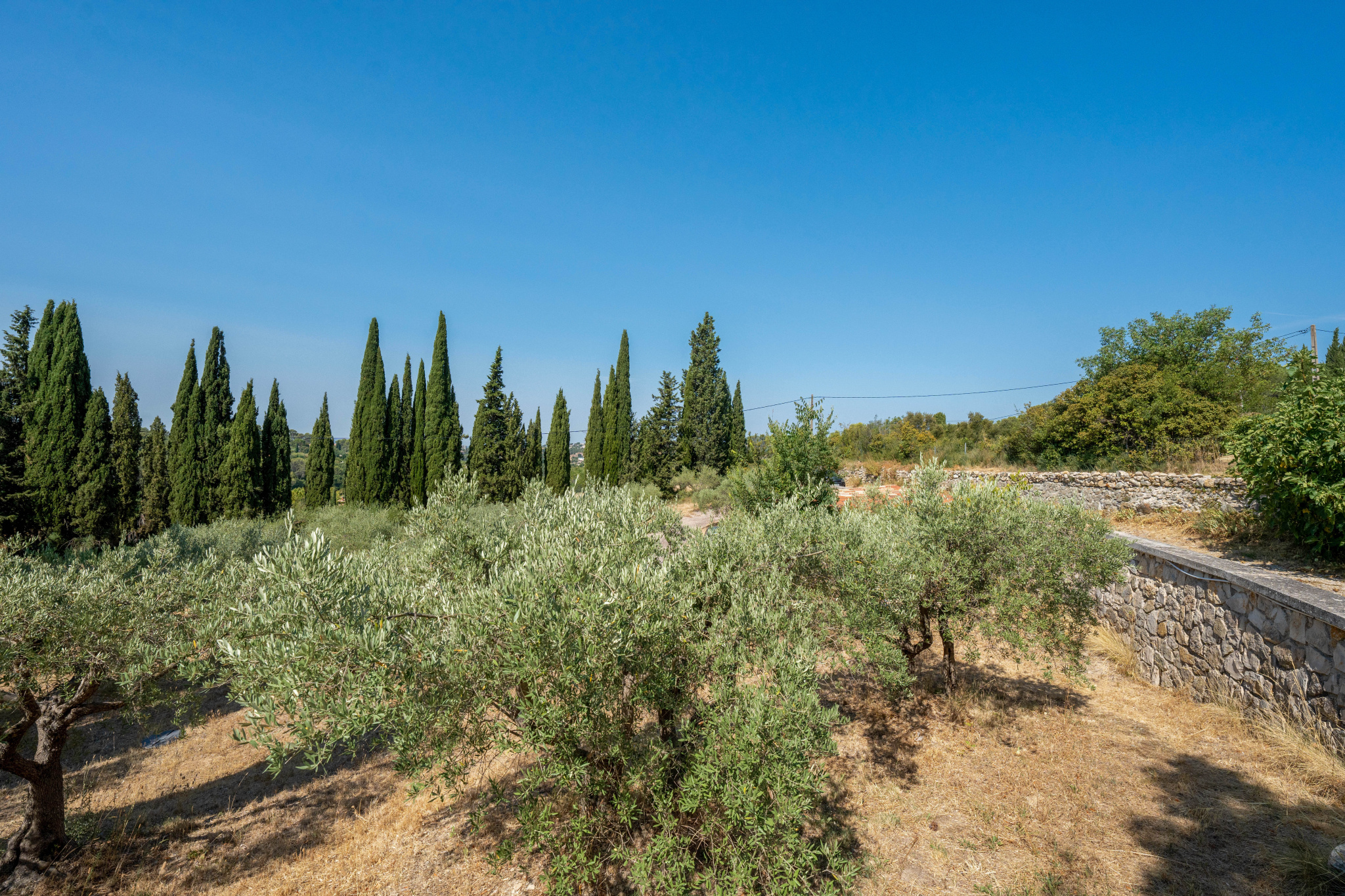 photo_82424ae11b25850cba77c736286724f8