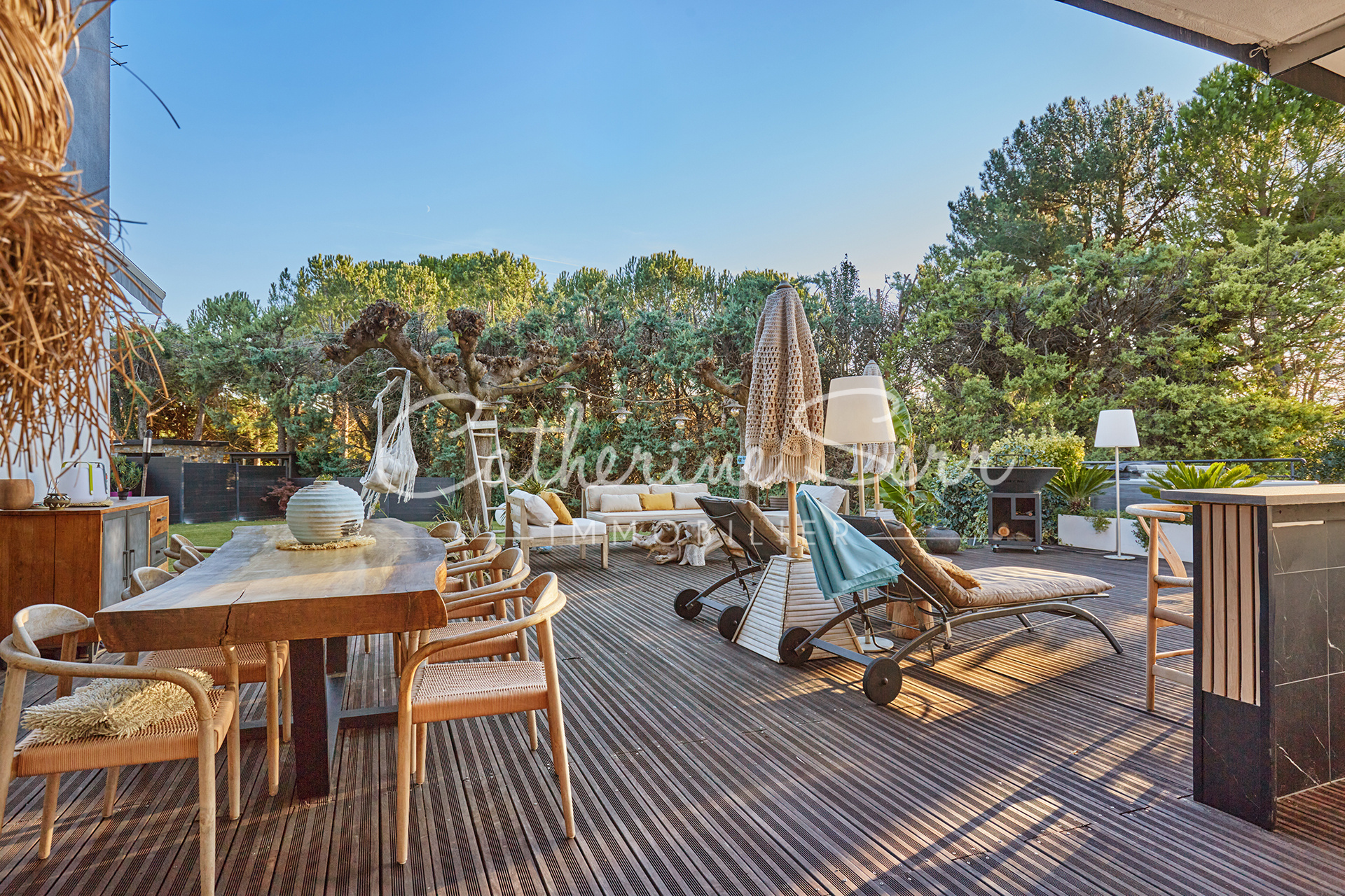 photo_847dd7716dc093941eb7e45b10e4112d