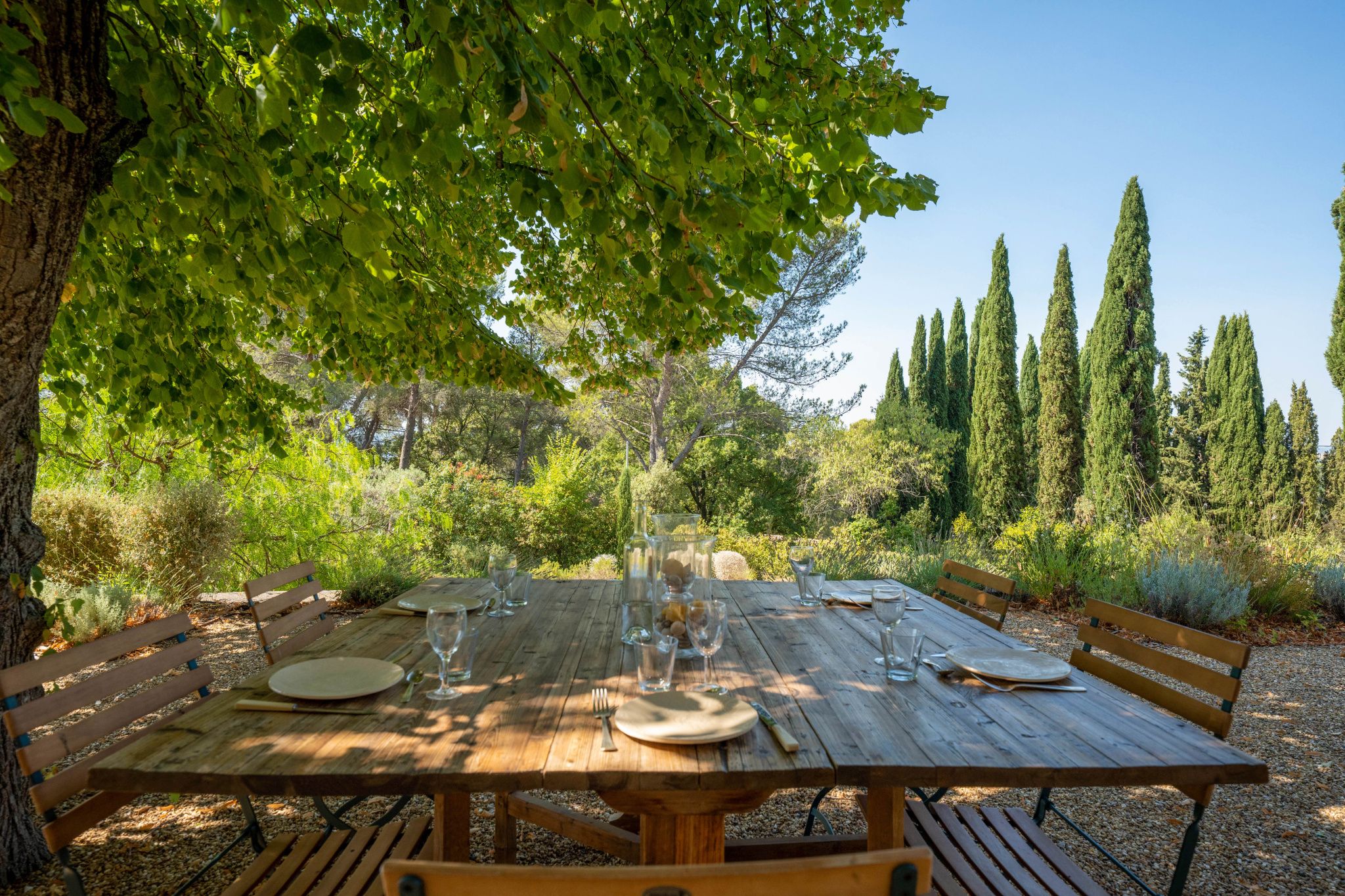 photo_e289a615ee23c0770398bc5f67d34799