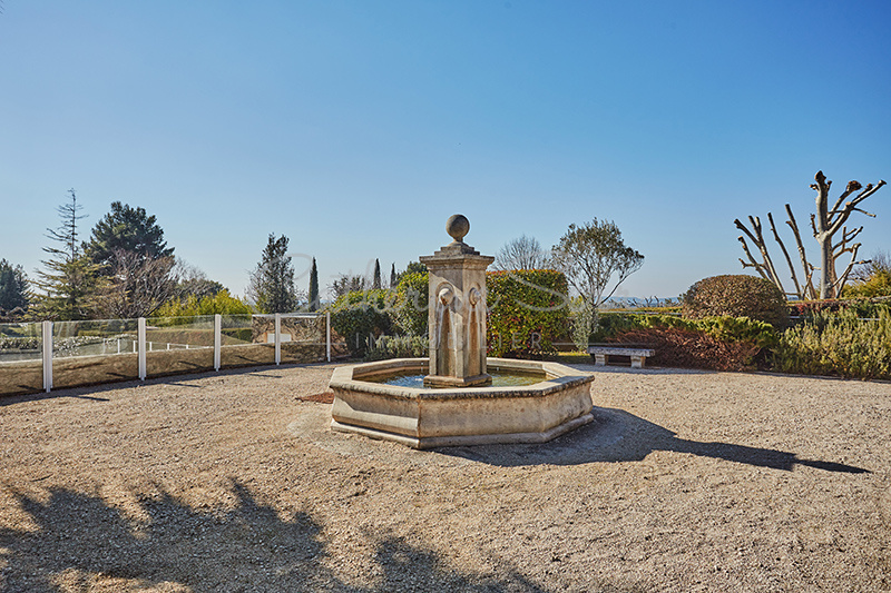 photo_0c16c7189a2755e2d0b789e79f147a8d