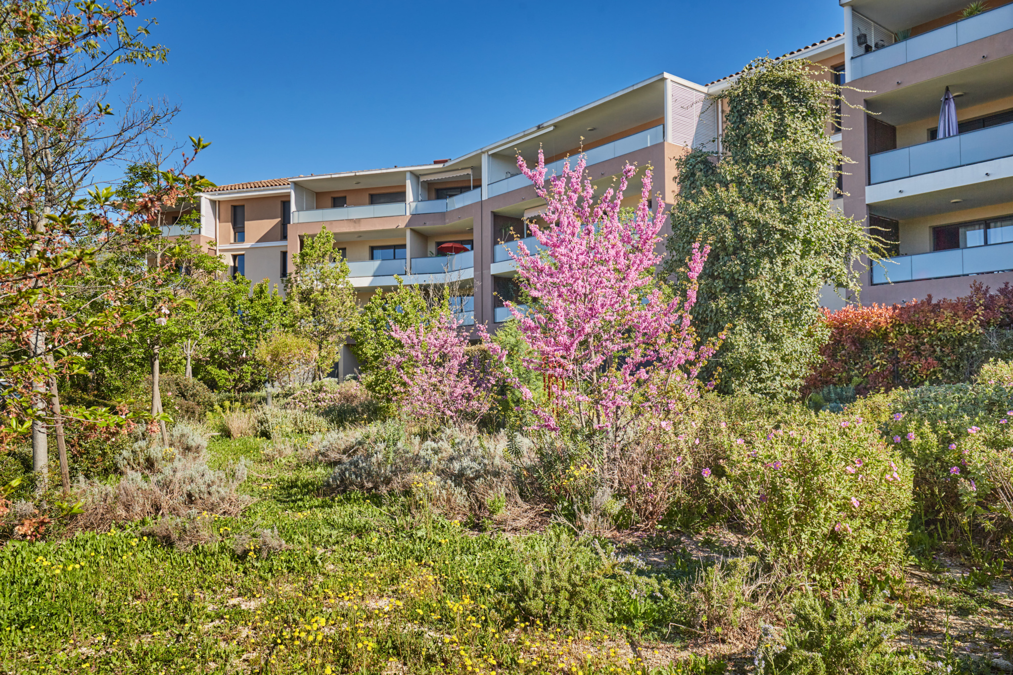 photo_e939c18197be066e55288c8955703e8e