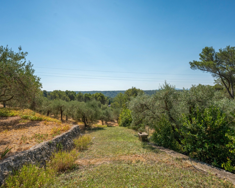 photo_0b3222aa1212132925499555c3188d12