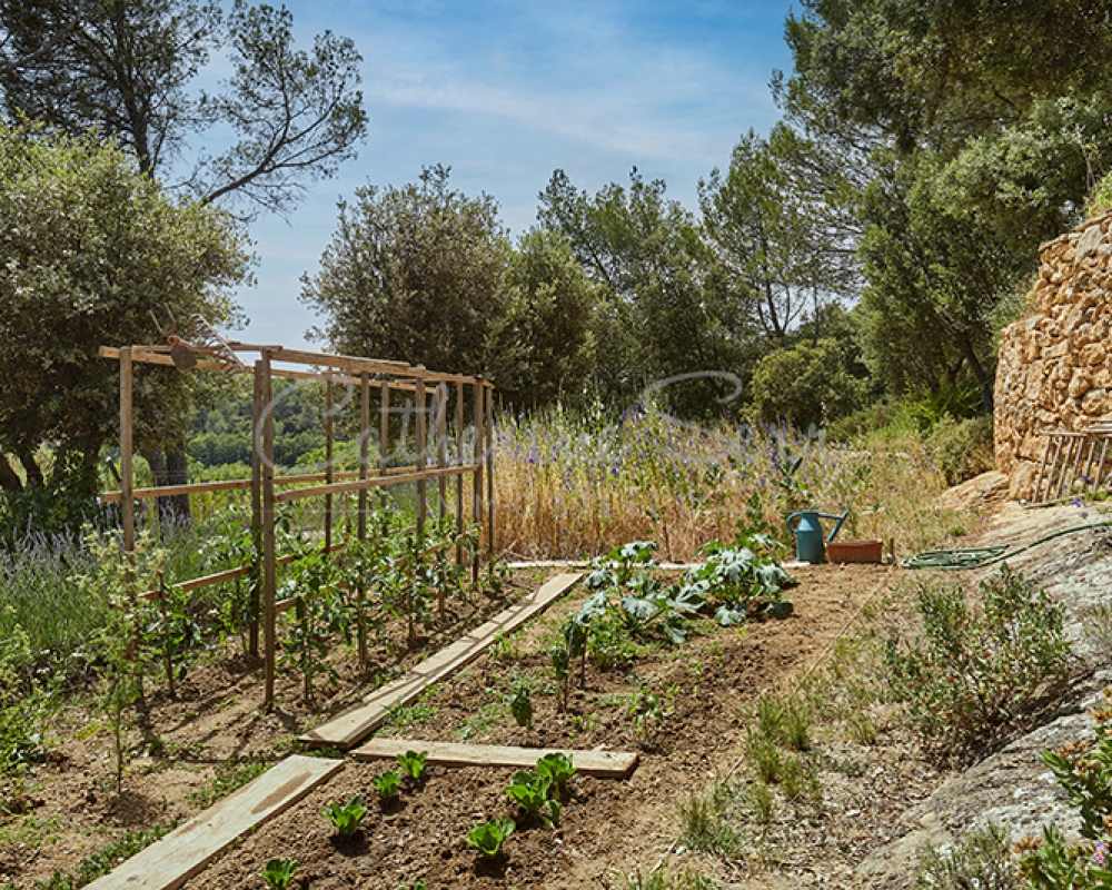 photo_15b6358099805f7790bf4604acbaaf4e