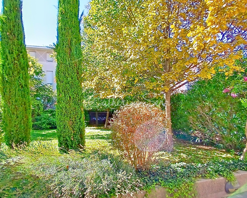 photo_53181103e04d6321d0721bf8ffd87940