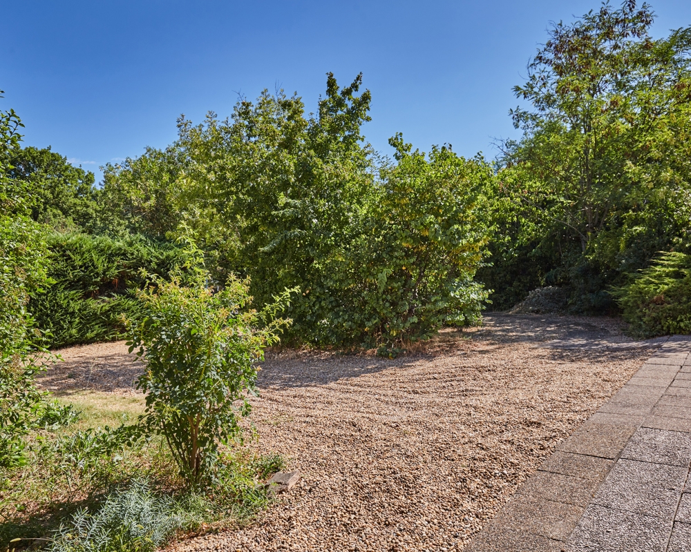 photo_72c0ccc7e824af3053eee97997b2de14