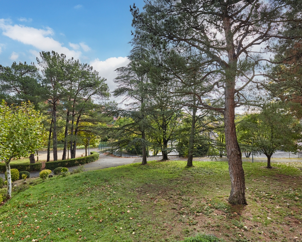 photo_7c7e9af69898134b51772ed51bc1dcee