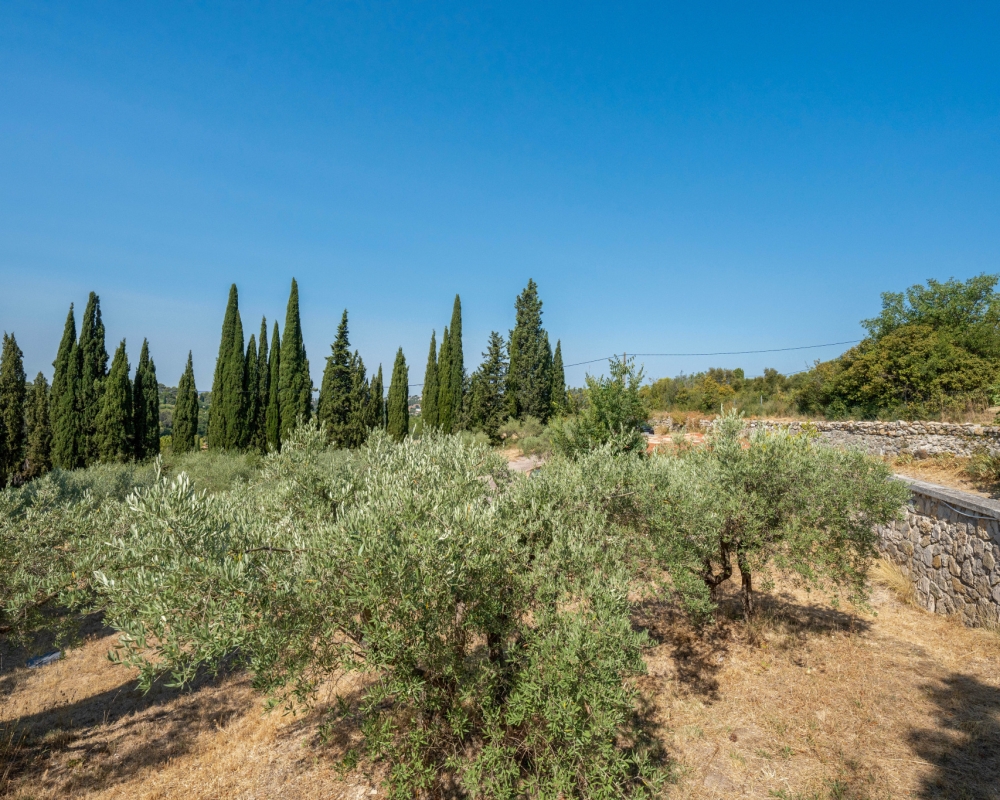 photo_82424ae11b25850cba77c736286724f8