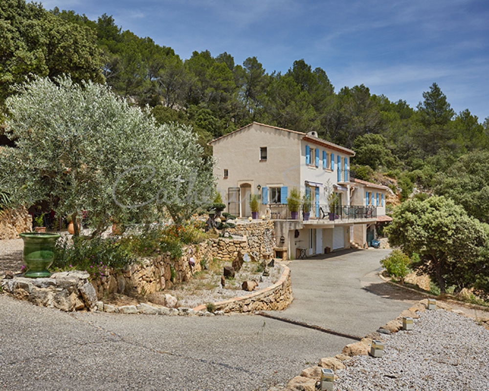 photo_a8be7214d2a196971a924a031c844999