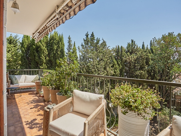 photo_c44c90ed4f58232b446a0a630352cdb0