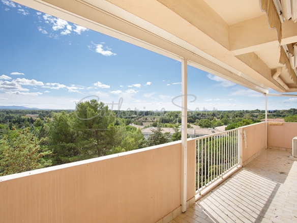 photo_c635eafb638af2c17524922cc435fb58