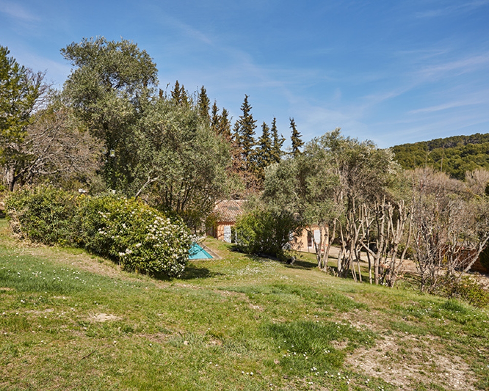 photo_c7871395338329475c6afc9d0728e2e6