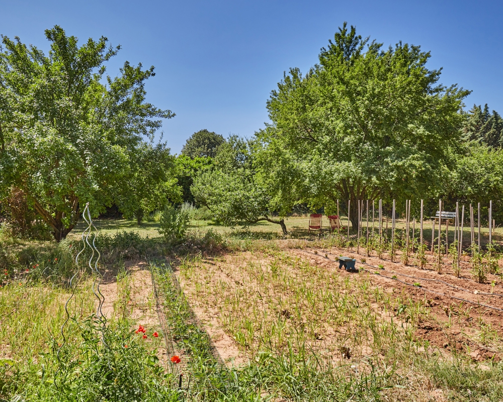 photo_efead02e2550326dd52e750a6fb9fd37