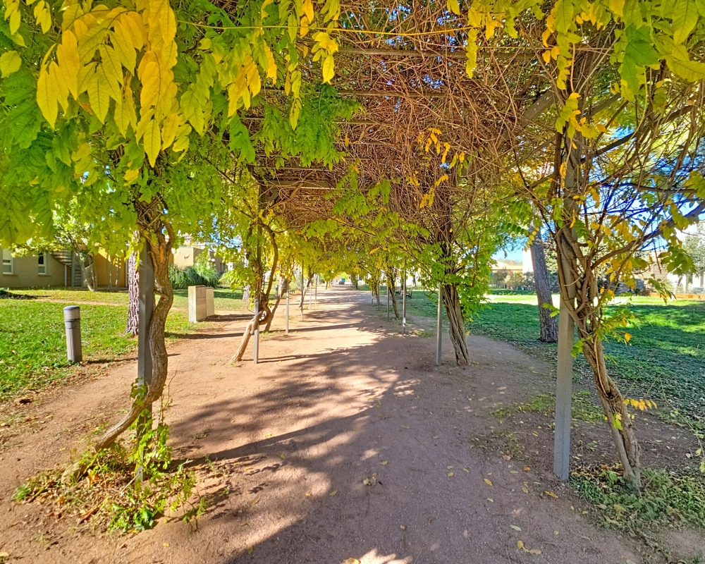 photo_fbf5c7e1172c1dfc56c8aa759d9f65fa